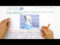Global Warming and Seasonal Changes