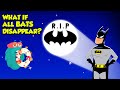 Understanding the Importance of Bats