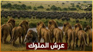 من جوع الصغار إلى عرش الملوك… رحلة أولور المليئة بالغدر والدماء!