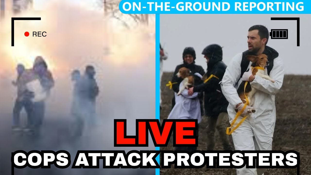 BREAKING: Cops GAS Protesters Trying to Free 2000 Allegedly Abused Dogs