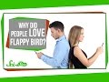 Understanding Flappy Bird and Dopamine