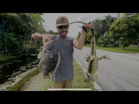 Cazador Y Pescador Tilapia Y Garrobo