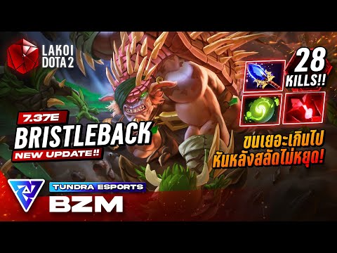 BristlebackMidโดยTundra.Bzmเม่นขนเยอะยาวเร็วหลังหนาสลัดออกแล