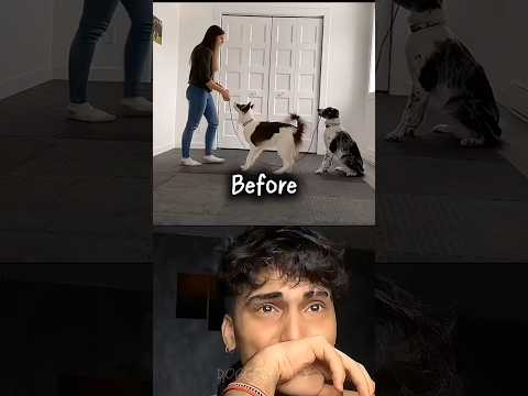 A Rope Tied to Memories đ #dog #sad #emotional #shorts