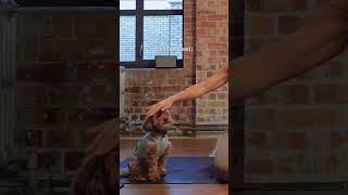 Your Christmas boost...🤣💪💕 #pilates #pilatescore