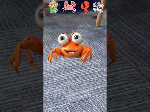 The Real Toys Of Crab ❗❗🤣 #animalforkids #funnymemes