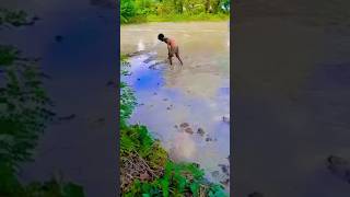 🌧 रोपनिया करे ना 🌾🌾🌾🌾 #new #bhojpuri #shortvideo #my_first_vlog #viralvideo #viral #bhojpurisong