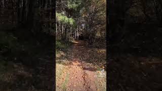 #българия #mtb
