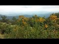 Climate Studies in the Southern Appalachians