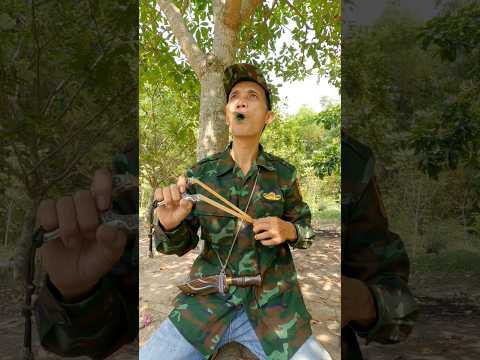 Survival Tactic: Ambushing Birds from a Tree Base #entertainment #birdsounds #shorts #survival