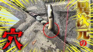 【神回】こんな所に巨大うなぎの巣窟が…