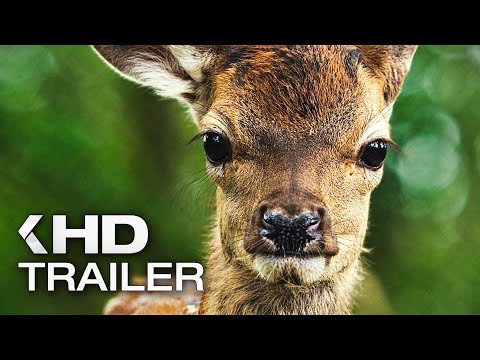 BAMBI: Eine Lebensgeschichte aus dem Walde Trailer German Deutsch (2025) Exklusiv