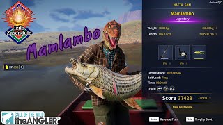 ตกปลาเสือยักษ์แอฟริกาใต้ | Call of the Wild: The Angler™