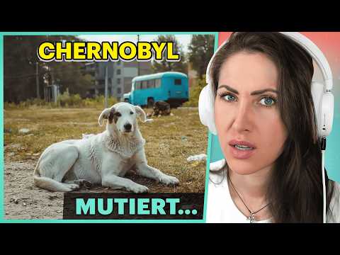 Das traurige Schicksal der verstrahlten Tiere aus Tschernobyl