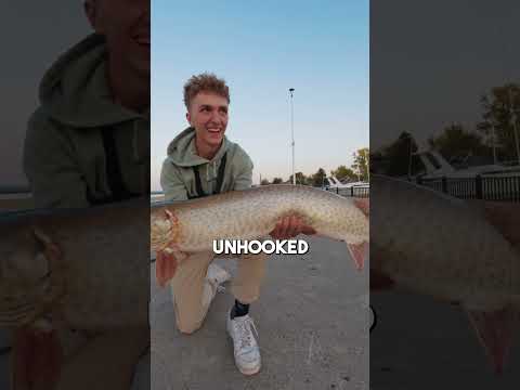 When Musky Bite Back