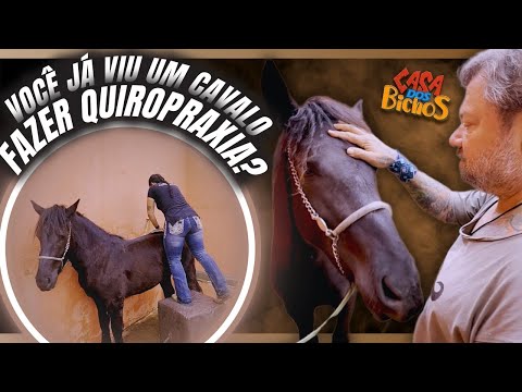 ISSO PODE SALVAR A VIDA DOS NOSSOS CAVALOS! VOCÊ PRECISA VER!