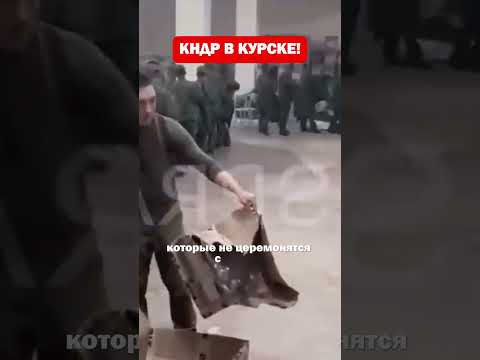 КНДР заходят в Курск!