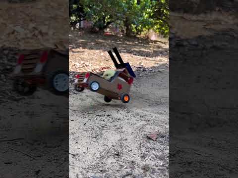 Jaggu’s new car #cartoon #shortvideo