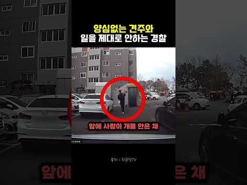 양심없는 견주와 일을 제대로 안하는 경찰 #블랙박스 #한문철tv #교통사고