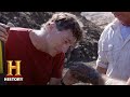 Oak Island Discovery Insights