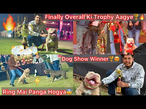 Finally Dog Show Jeet Gye🔥Overall Trophy Winner 🏆Ring Mai Panga B Hogya Tha😰Bhero Ka🐶