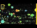 Understanding Data and Visualization