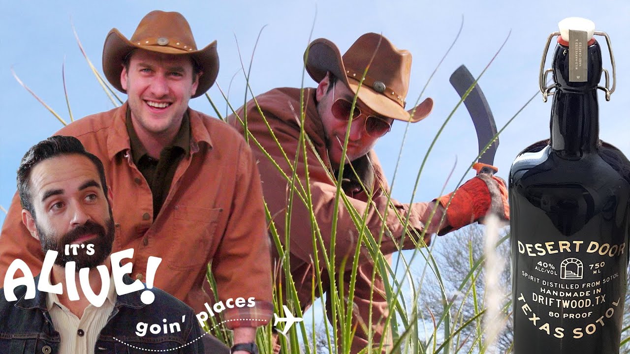 Brad Distills 80 Proof Alcohol (Sotol) It's Alive: Goin' Places Bon Apptit