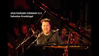 Der Wolfshäger Steinway e.V. präsentiert: Sebastian Krumbiegel, "Kein Mensch ist illegal"