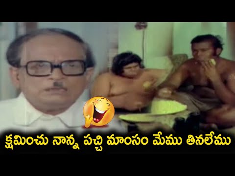 క్షమించు నాన్న పచ్చి మాంసం మేము తినలేము | Allu Ramalingaiah And His Sons Eating Comedy Scenes | TC