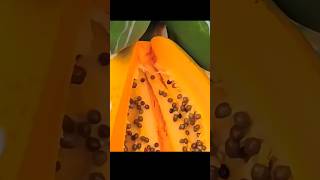 Yeshe Fal Jo India Ke Hai He Nahi || Amazing Video #shortsfeed #experiment #surajsharma #facts