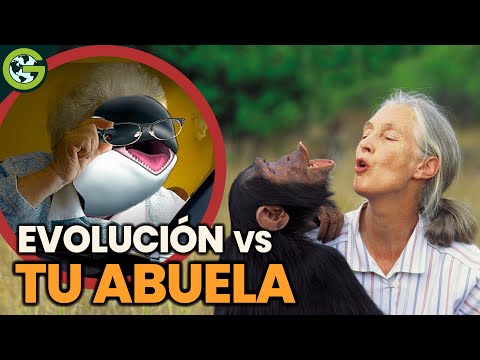 ¿Las ABUELAS NO Deberían EXISTIR? (según la evolución)​ 👵​