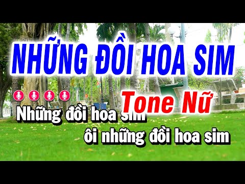 Karaoke Những Đồi Hoa Sim Nhạc Sống Tone Nữ | Bảo Hưng