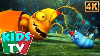 Larva Episodio Completo in Italiano | Cartoni per Bambini