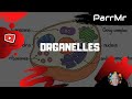 Exploring the Functions of Cell Organelles