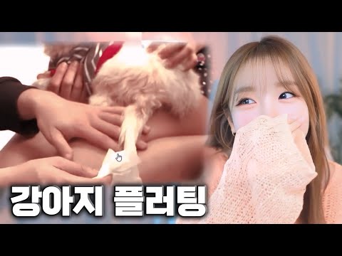 요즘 플러팅 이렇게 한다구요?