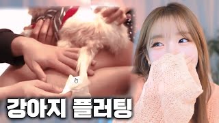 요즘 플러팅 이렇게 한다구요?