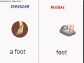 Exploring Irregular Nouns in English
