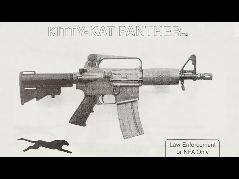 Is the new DPMS Kitty Kat actually clone correct?