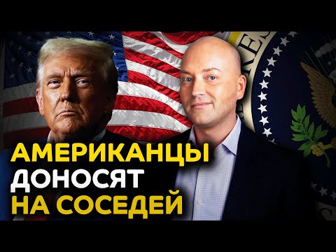 Доносы на нелегалов, суды не спасают