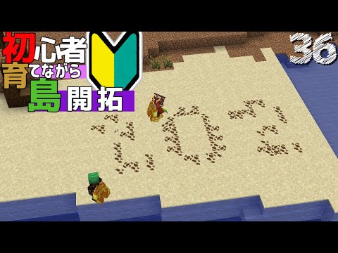 【Minecraft】初心者育てながら島開拓! 一坪の海岸線作りへ・・・ part36（ゆっくり実況）