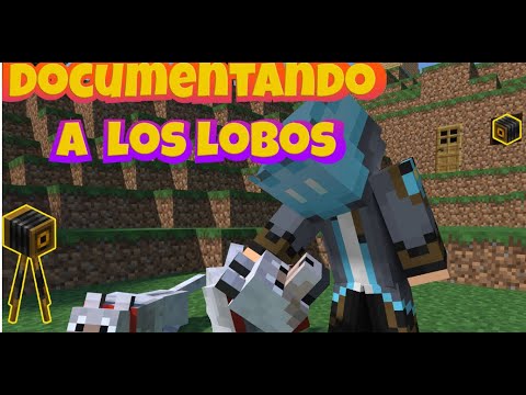ESPIE LA RUTINA DE UN LOBO ¿QUE HACEN CUANDO NO LOS VEMOS? 😱#minecraft