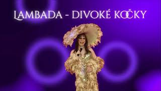 Lambada - Divoké kočky