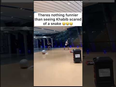 Khabib running away from a snake 😂