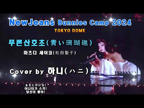 Newjeans(뉴진스, ニュージーンズ) : 하니(ハニ) - 푸른산호초((青い珊瑚礁).