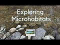 Micro Habitats and Ecosystem Observations