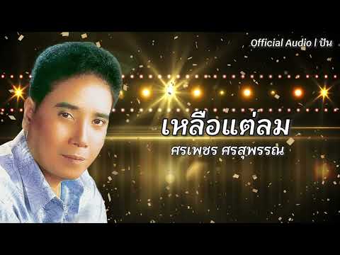 เหลือแต่ลม | ศรเพชร ศรสุพรรณ [Official Audio] | ปัน