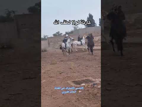 نطلبو سلامة لجميع ركاب