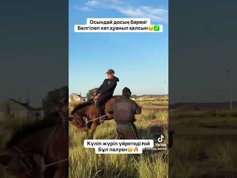 Асау үйрету