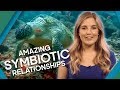Symbiotic Relationships in Nature