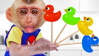 Bin Bon duck Monkey Baby Kittens Puppy Goes Koi Cat And swims Rabbits Animals Eats Egg Muckbang Asmr